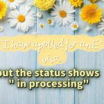 I have applied for an E-visa but the status shows "in processing ". What should I do?